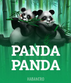 Panda panda